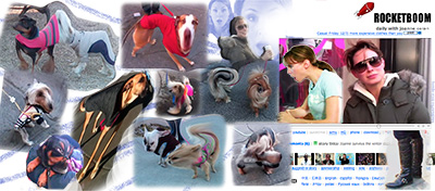 Dogs photoshopped...